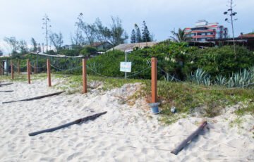 WSL entrega Praia de Itaúna com 970 metros de área de vegetação protegida após VIVO Rio Pro 2026